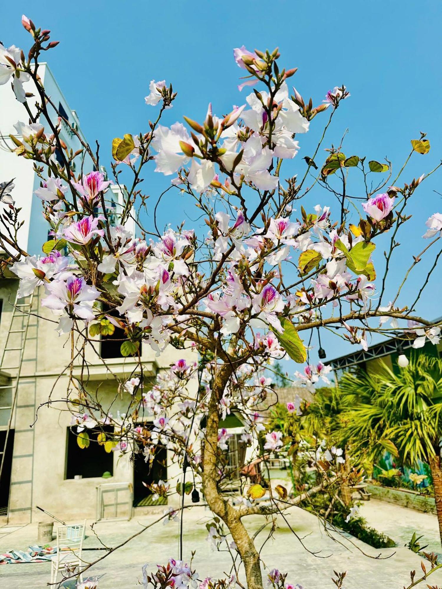 Minh Chau Beach Resort Куангнинь Экстерьер фото